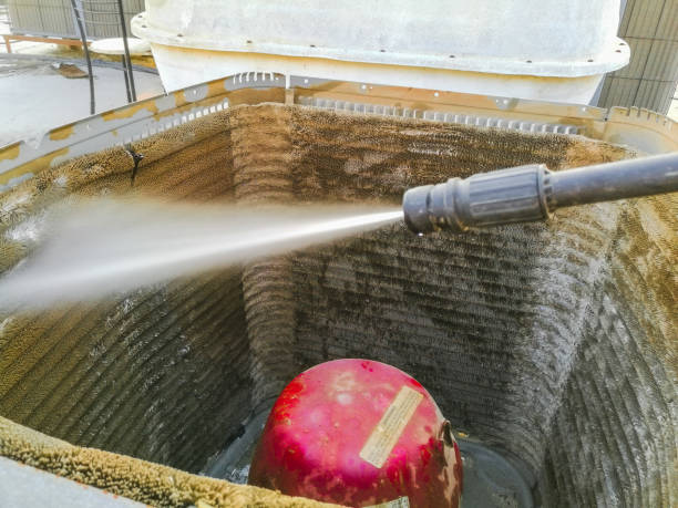 Best Air Duct Mold Removal  in Leakesville, MS