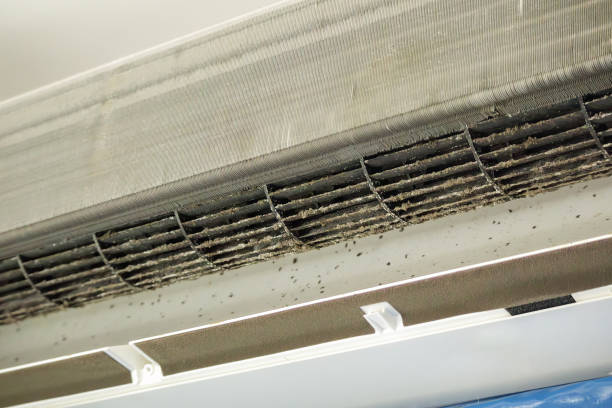 Best Home Air Vent Cleaning  in Leakesville, MS